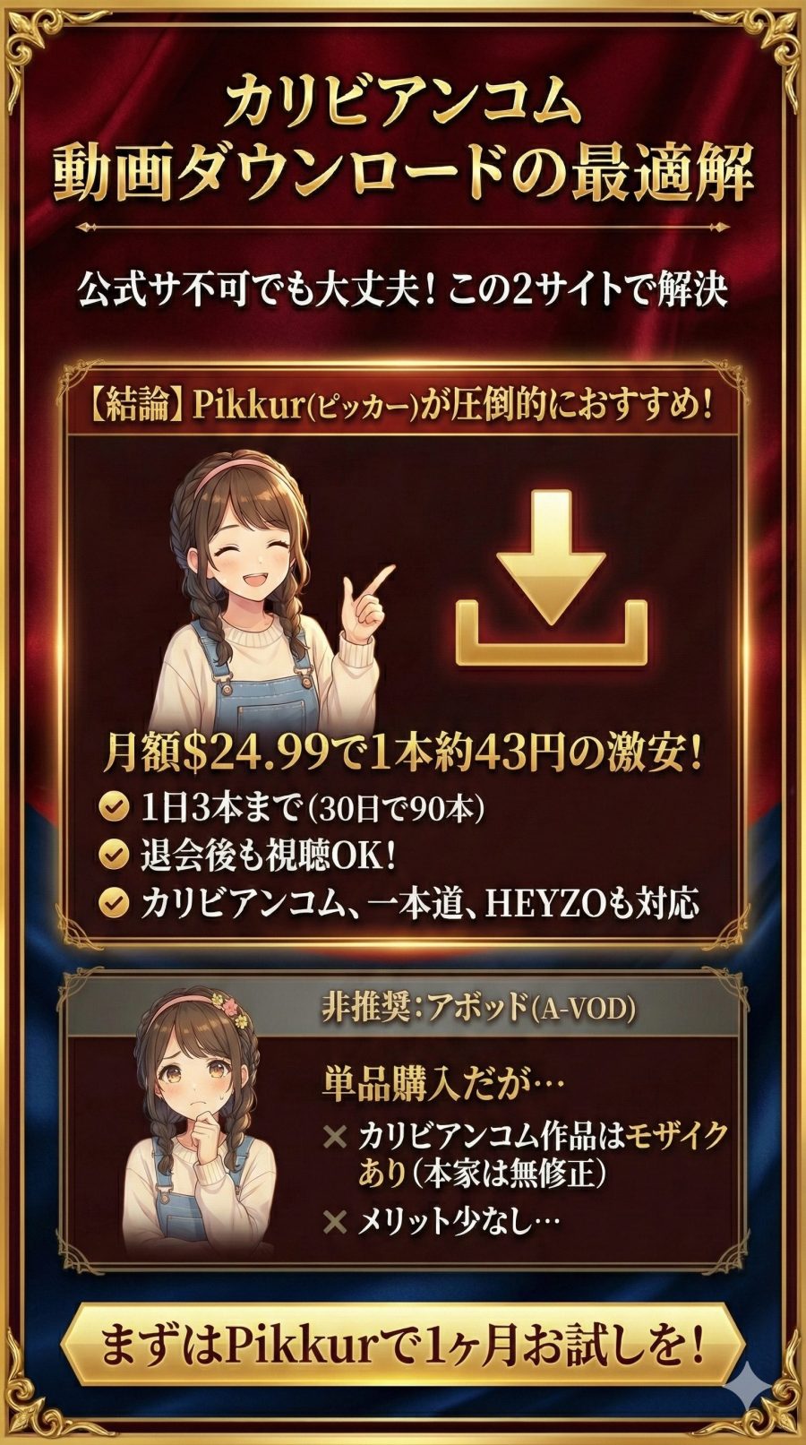 カリビアンコムの動画をダウンロードする方法